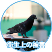 衛生上の被害
